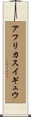 アフリカスイギュウ Scroll