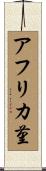アフリカ菫 Scroll