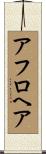 アフロヘア Scroll