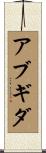 アブギダ Scroll