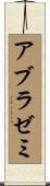 アブラゼミ Scroll