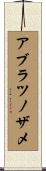 アブラツノザメ Scroll
