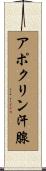 アポクリン汗腺 Scroll