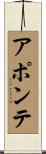 Aponte Scroll