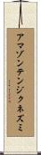 アマゾンテンジクネズミ Scroll