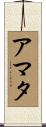 Amata Scroll
