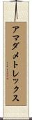 アマダメトレックス Scroll