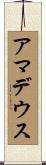 Amadeus Scroll