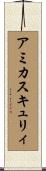 アミカス・キュリィ Scroll