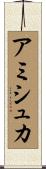 Amishka Scroll