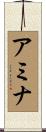 Amina Scroll