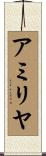 アミリヤ Scroll
