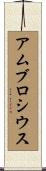 アムブロシウス Scroll