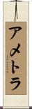 Ametra Scroll