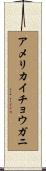 アメリカイチョウガニ Scroll