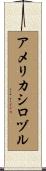 アメリカシロヅル Scroll