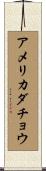 アメリカダチョウ Scroll