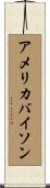 アメリカバイソン Scroll