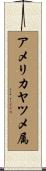 アメリカヤツメ属 Scroll