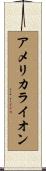 アメリカライオン Scroll