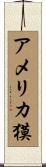 アメリカ獏 Scroll