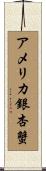 アメリカ銀杏蟹 Scroll