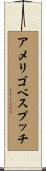 アメリゴベスプッチ Scroll