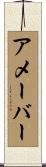 アメーバー Scroll