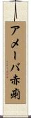 アメーバ赤痢 Scroll