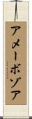 アメーボゾア Scroll