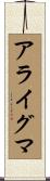 アライグマ Scroll