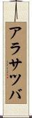 アラサツバ Scroll
