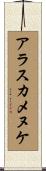 アラスカメヌケ Scroll