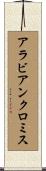 アラビアンクロミス Scroll