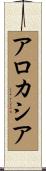 アロカシア Scroll