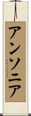 アンソニア Scroll