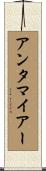 アンタマイアー Scroll