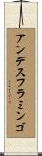 アンデスフラミンゴ Scroll