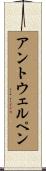 アントウェルペン Scroll