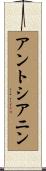 アントシアニン Scroll