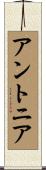 アントニア Scroll