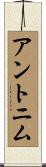 アントニム Scroll