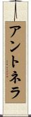 Antonela Scroll