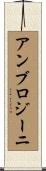 アンブロジーニ Scroll