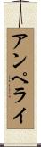 アンペライ Scroll