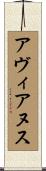 アヴィアヌス Scroll