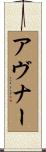 Avner Scroll
