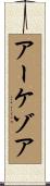 アーケゾア Scroll