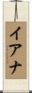 Iana Scroll