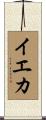 イエカ Scroll